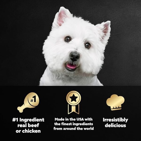 CESAR Adult Wet Dog Food - Image 3